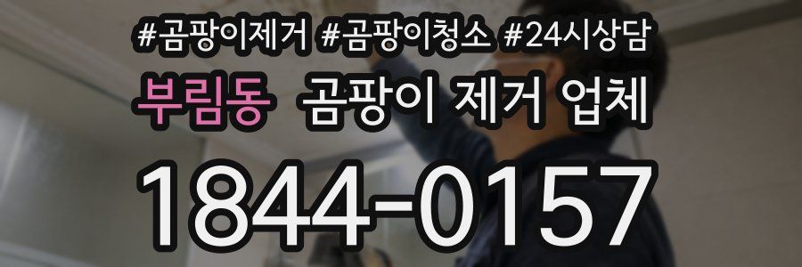 부림동 곰팡이 제거 업체