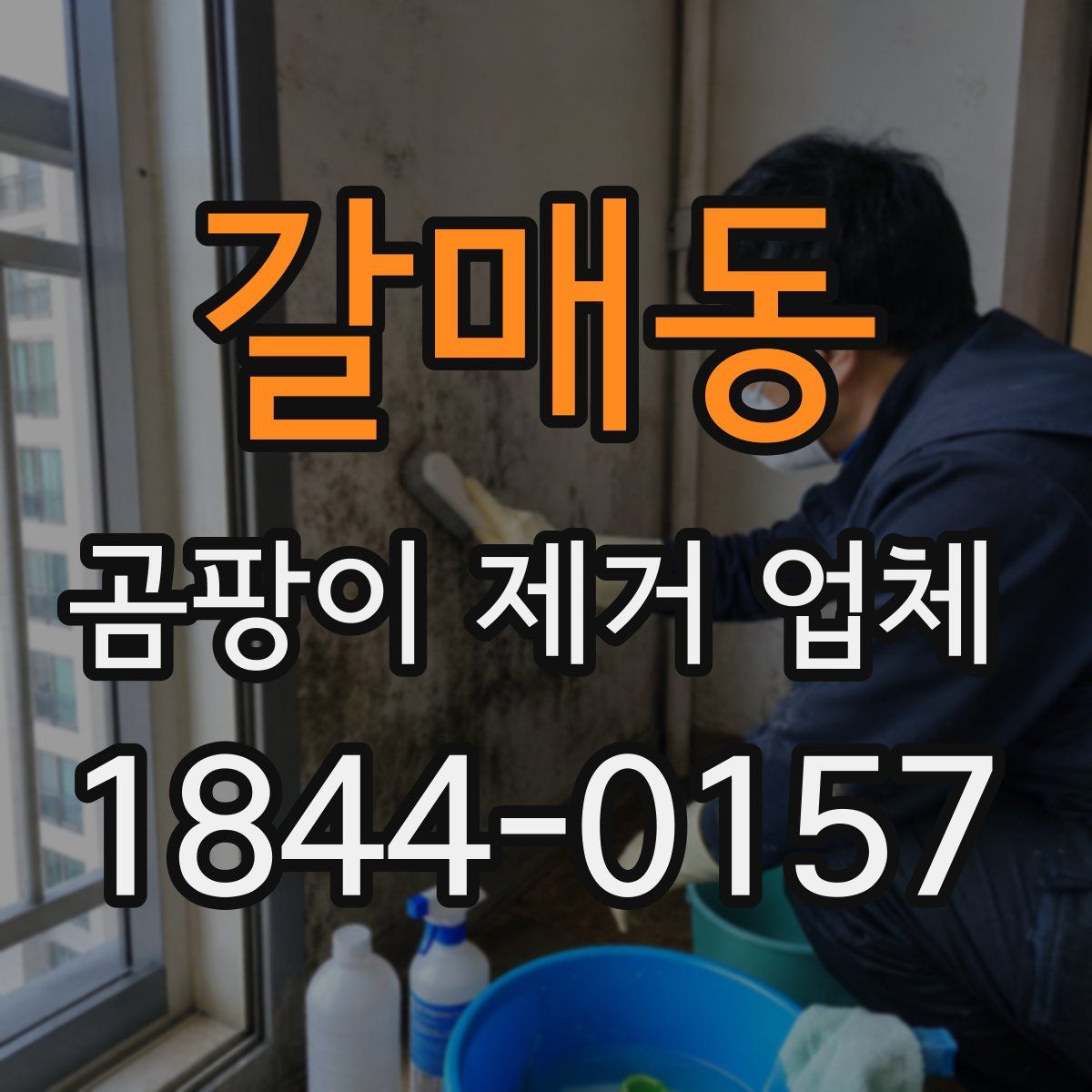 갈매동 곰팡이 제거 업체
