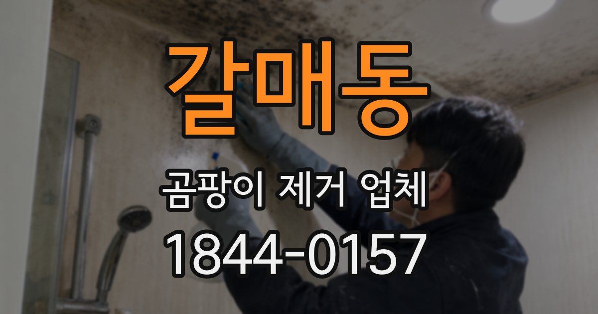 갈매동 곰팡이 제거 업체