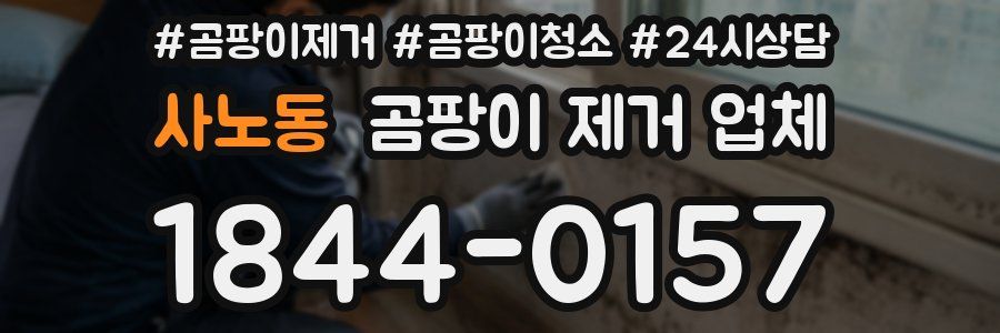사노동 곰팡이 제거 업체