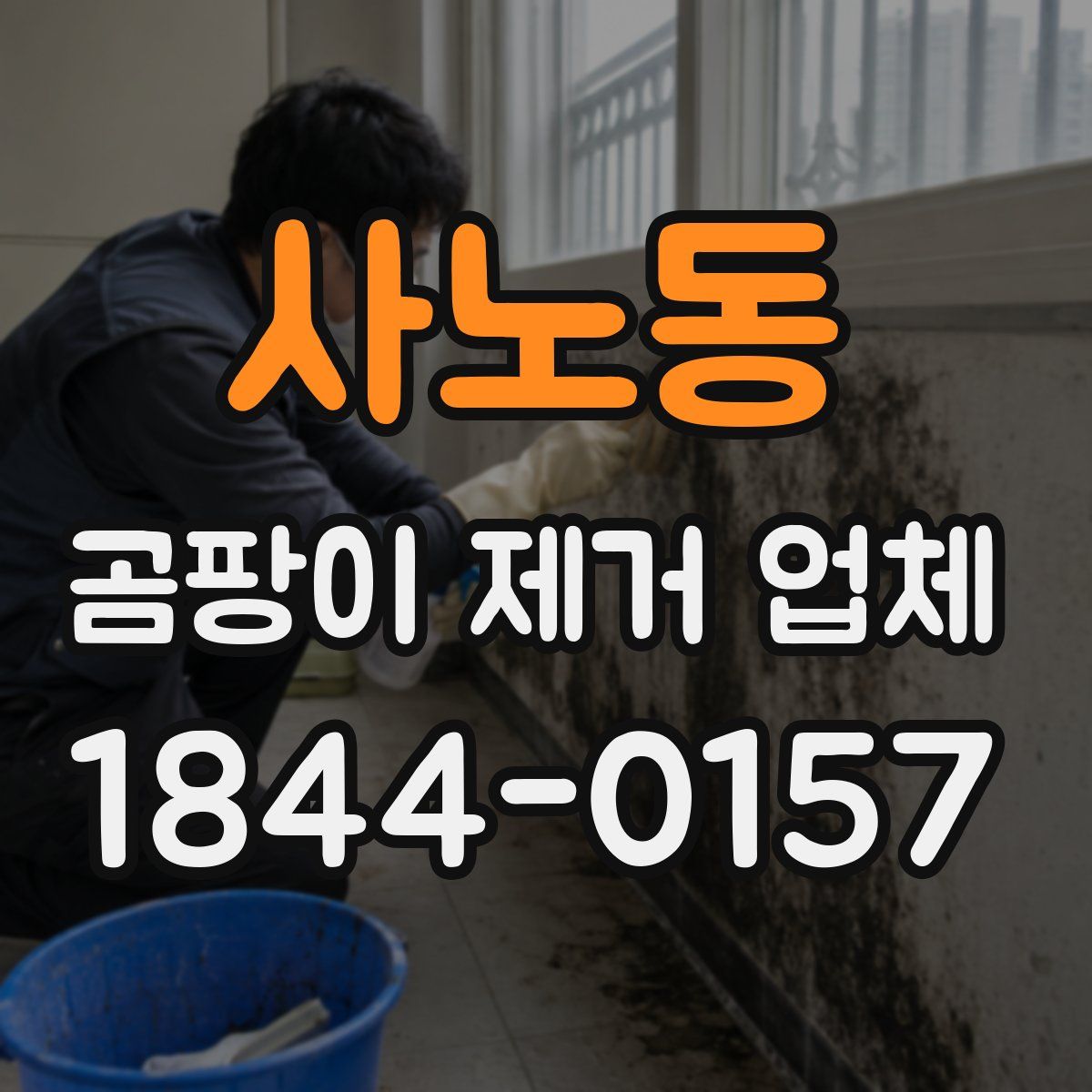 사노동 곰팡이 제거 업체