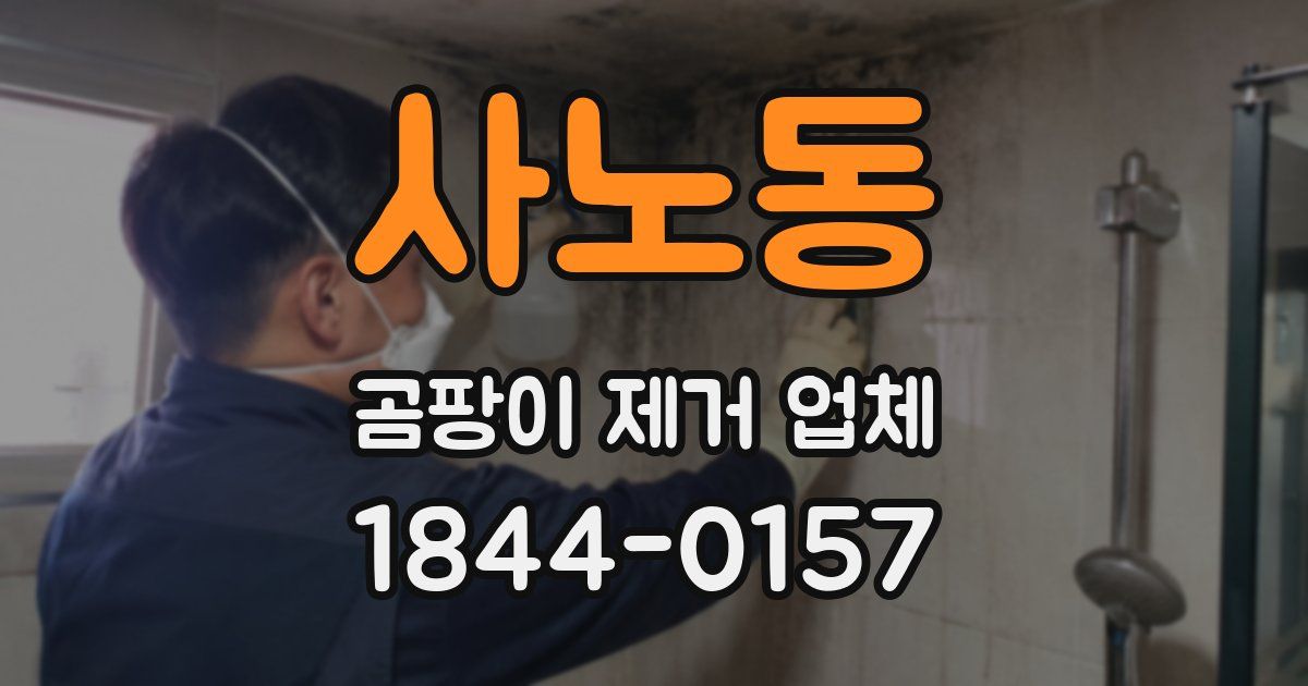 사노동 곰팡이 제거 업체
