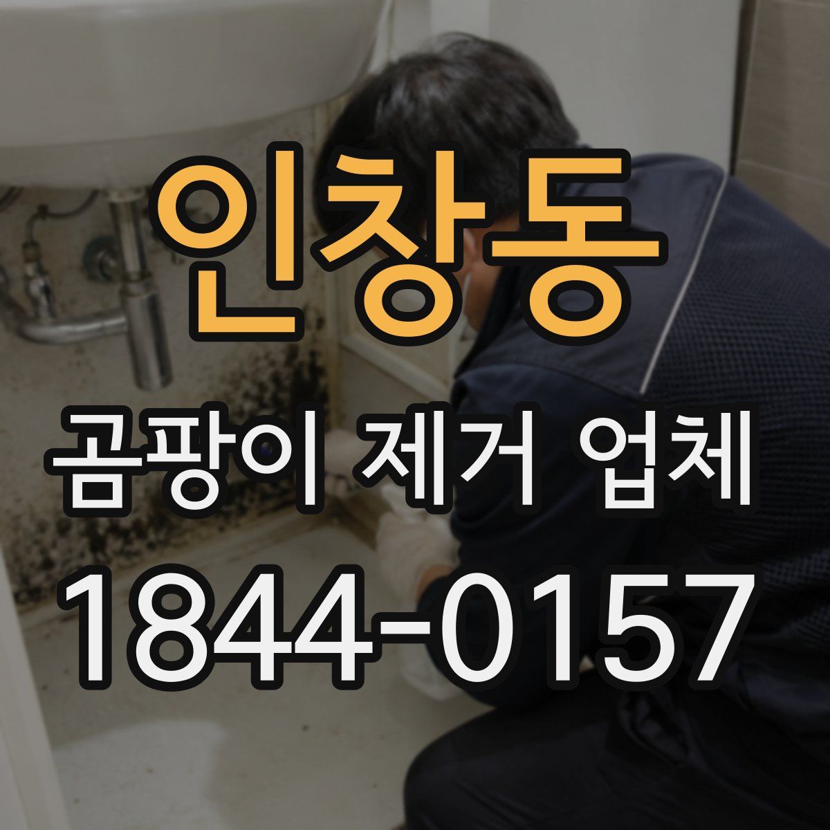 인창동 곰팡이 제거 업체