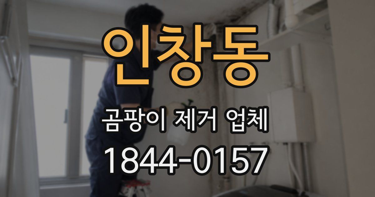 인창동 곰팡이 제거 업체