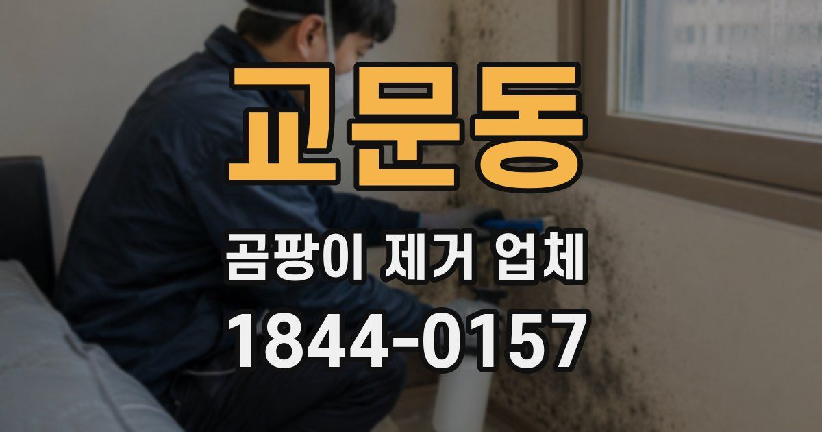 교문동 곰팡이 제거 업체