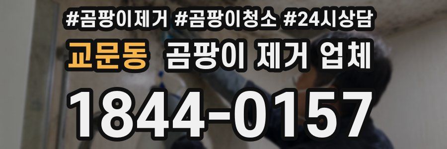교문동 곰팡이 제거 업체