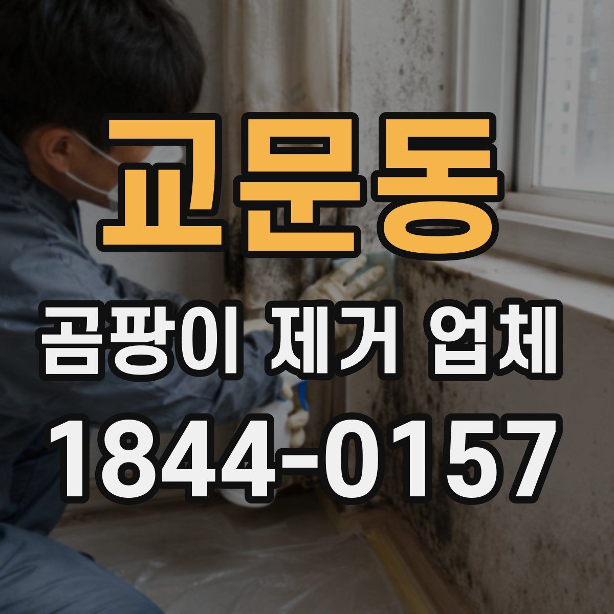 교문동 곰팡이 제거 업체