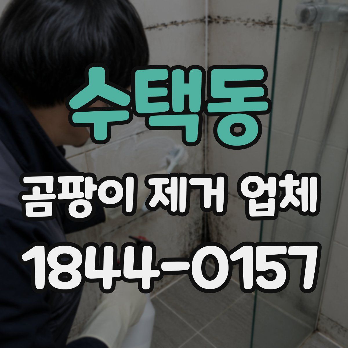 수택동 곰팡이 제거 업체