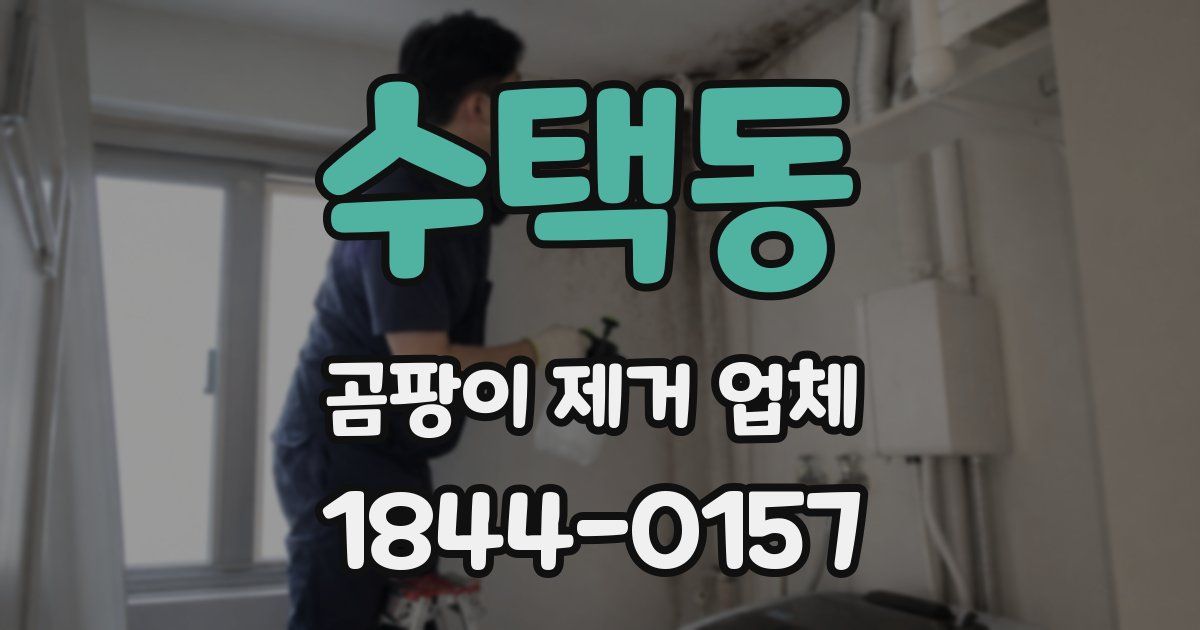 수택동 곰팡이 제거 업체