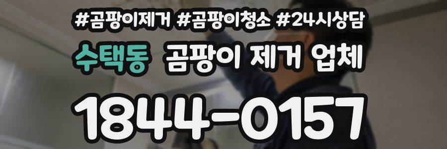 수택동 곰팡이 제거 업체