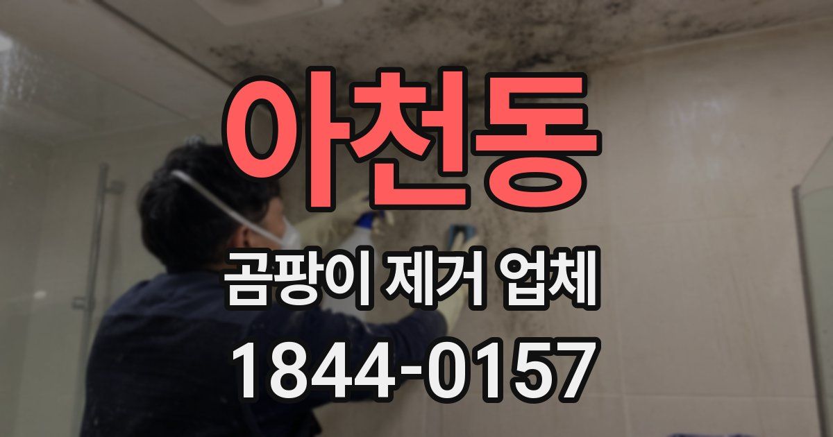 아천동 곰팡이 제거 업체