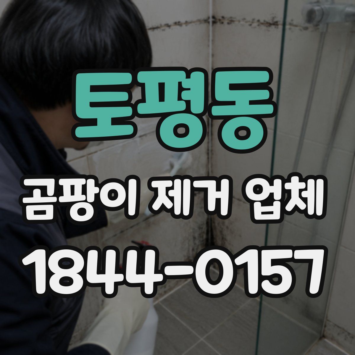 토평동 곰팡이 제거 업체
