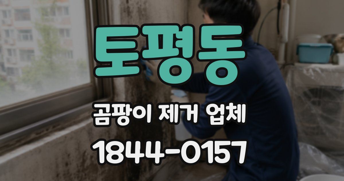토평동 곰팡이 제거 업체