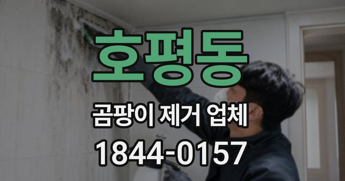 호평동 곰팡이 제거 업체
