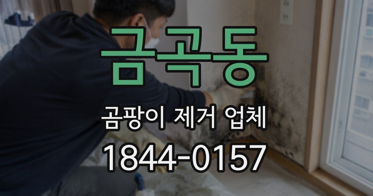 금곡동 곰팡이 제거 업체