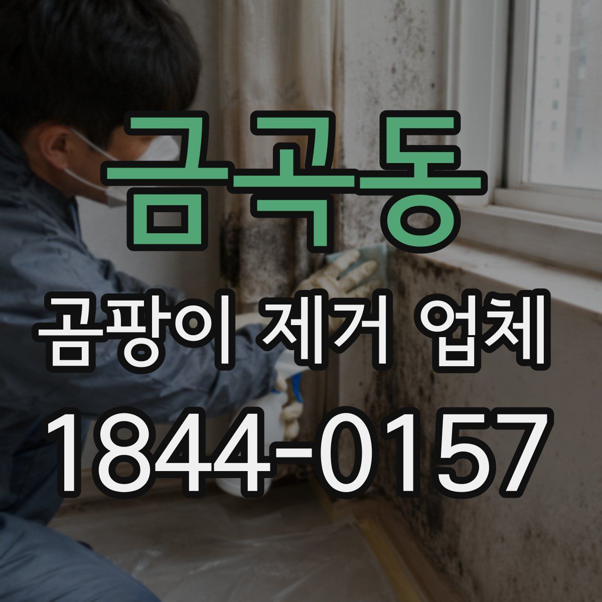 금곡동 곰팡이 제거 업체