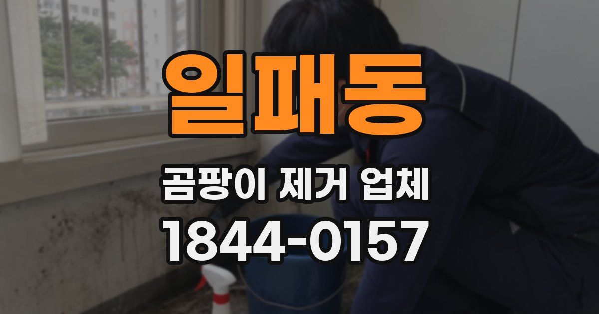 일패동 곰팡이 제거 업체