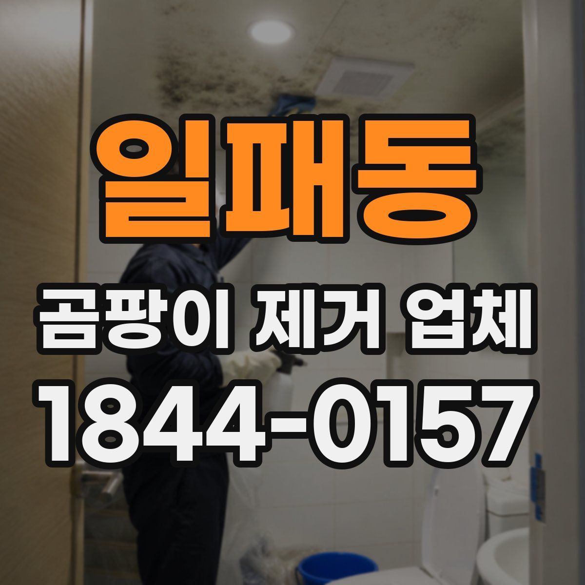 일패동 곰팡이 제거 업체