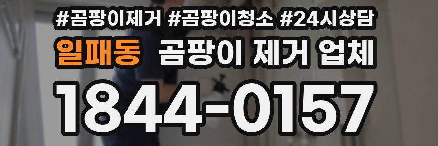 일패동 곰팡이 제거 업체