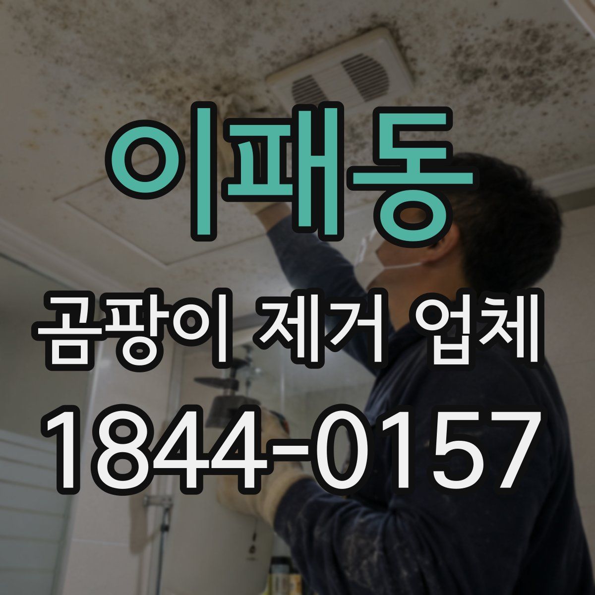 이패동 곰팡이 제거 업체