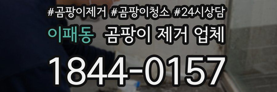 이패동 곰팡이 제거 업체