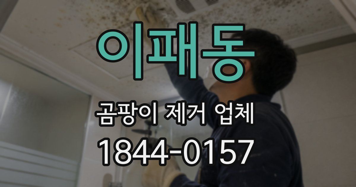 이패동 곰팡이 제거 업체