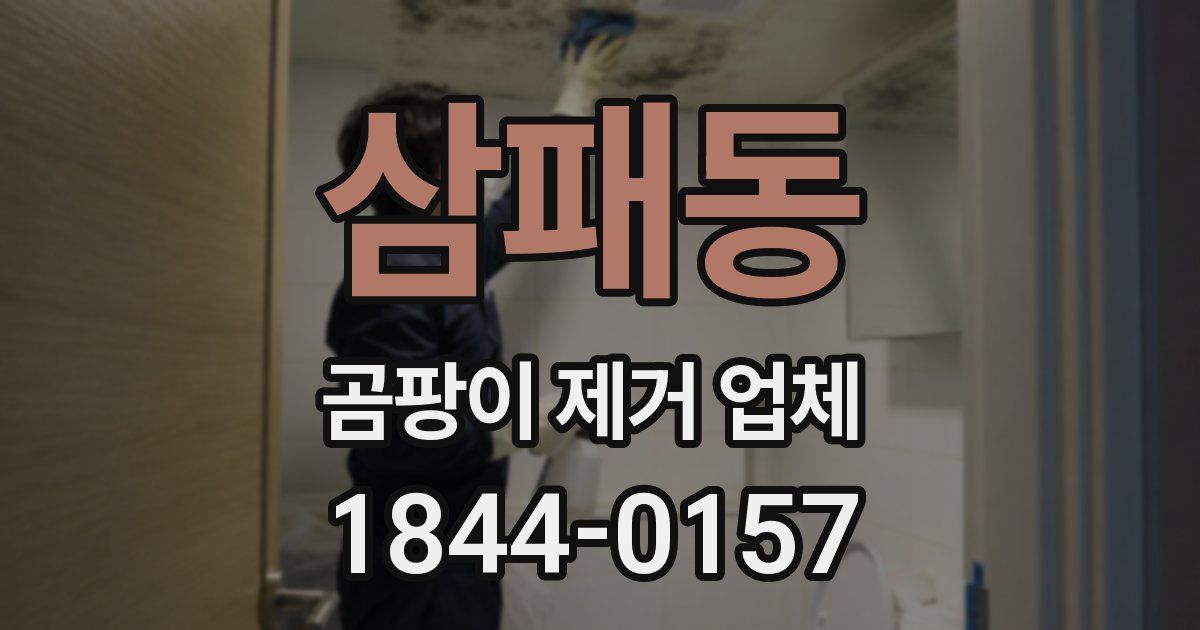 삼패동 곰팡이 제거 업체