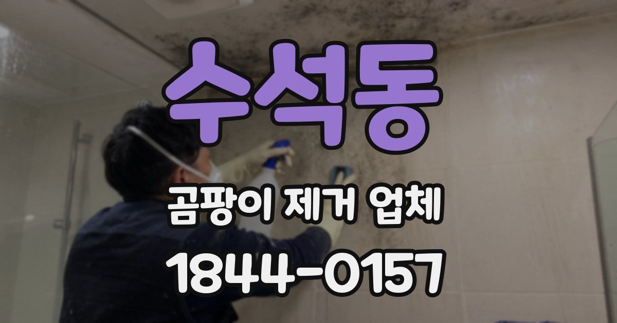 수석동 곰팡이 제거 업체