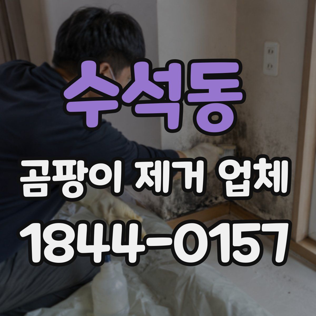 수석동 곰팡이 제거 업체