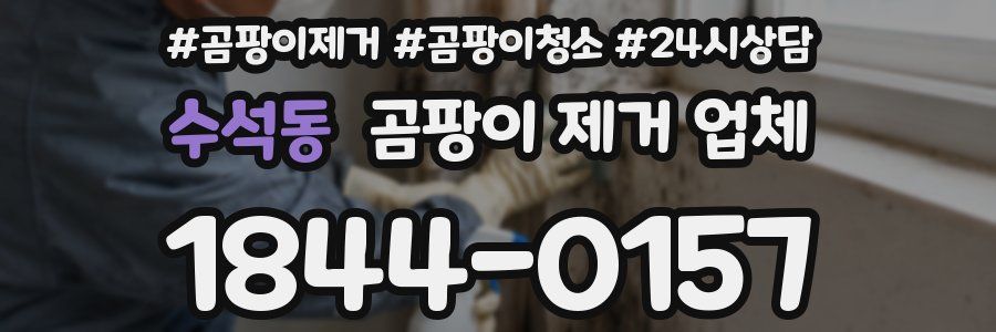 수석동 곰팡이 제거 업체