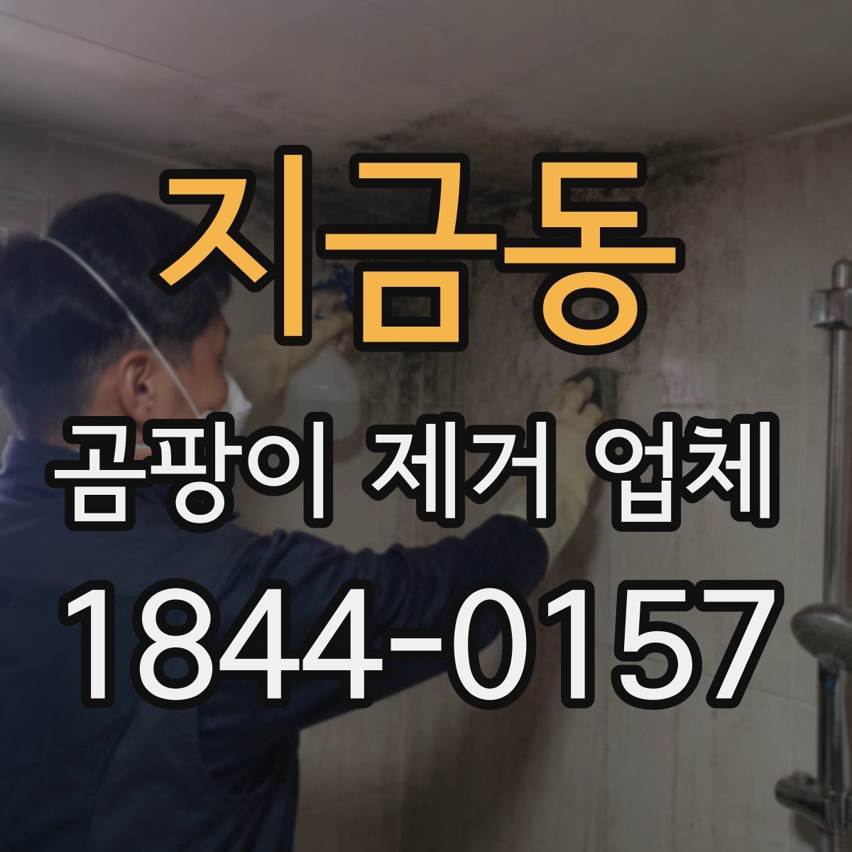 지금동 곰팡이 제거 업체
