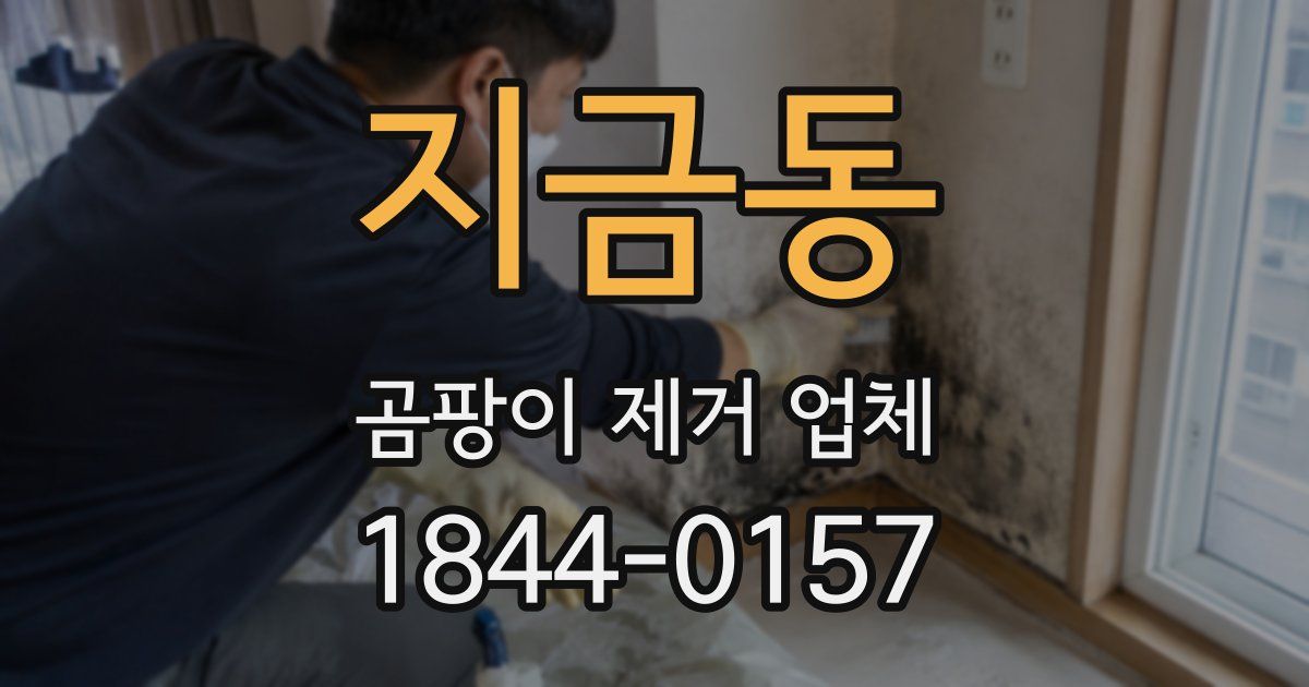 지금동 곰팡이 제거 업체