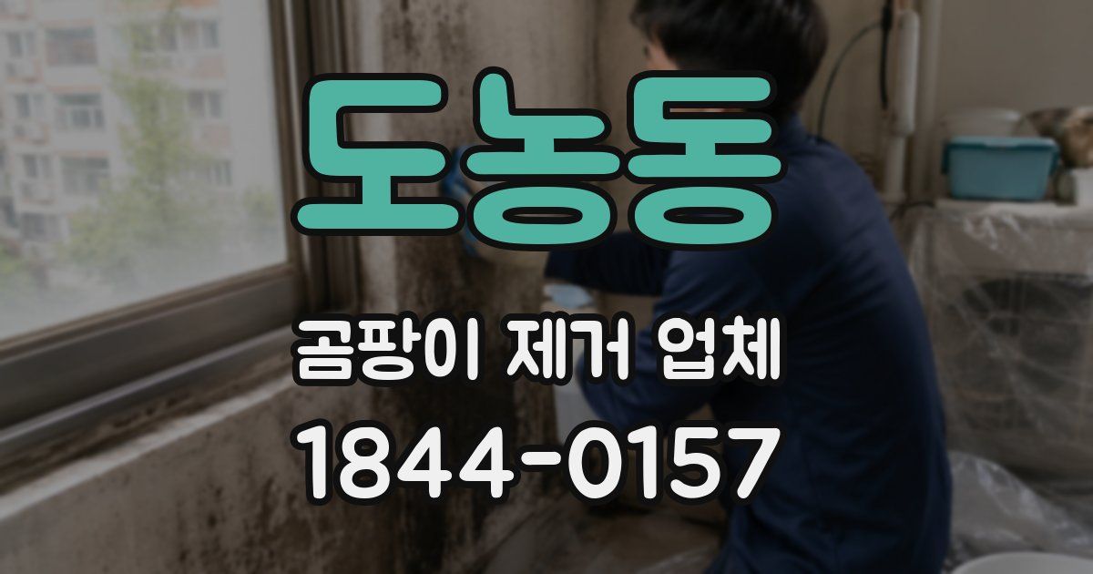 도농동 곰팡이 제거 업체