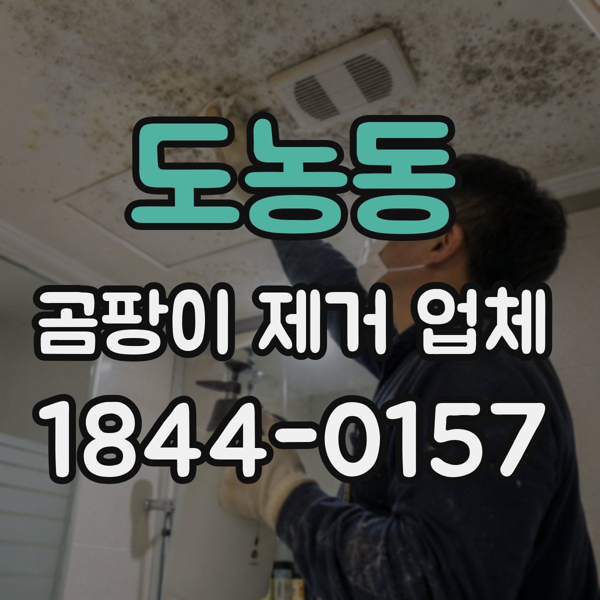 도농동 곰팡이 제거 업체