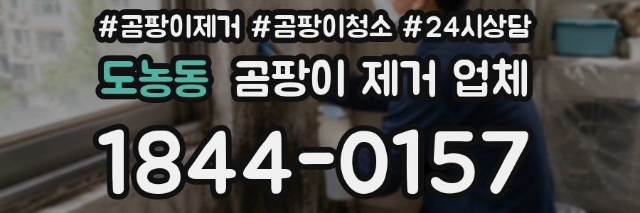 도농동 곰팡이 제거 업체