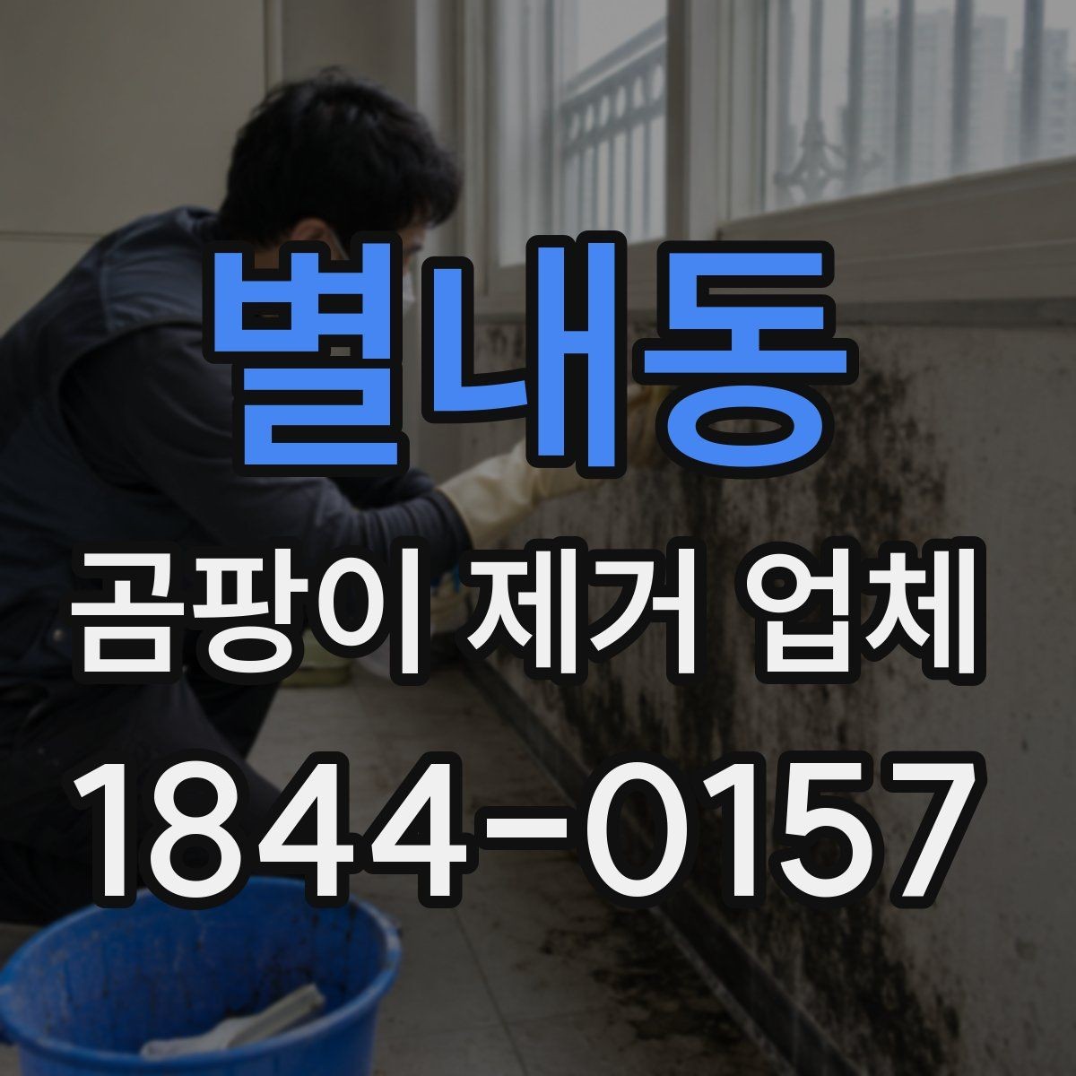별내동 곰팡이 제거 업체 반려동물과 아이가 있는 집의 주의점