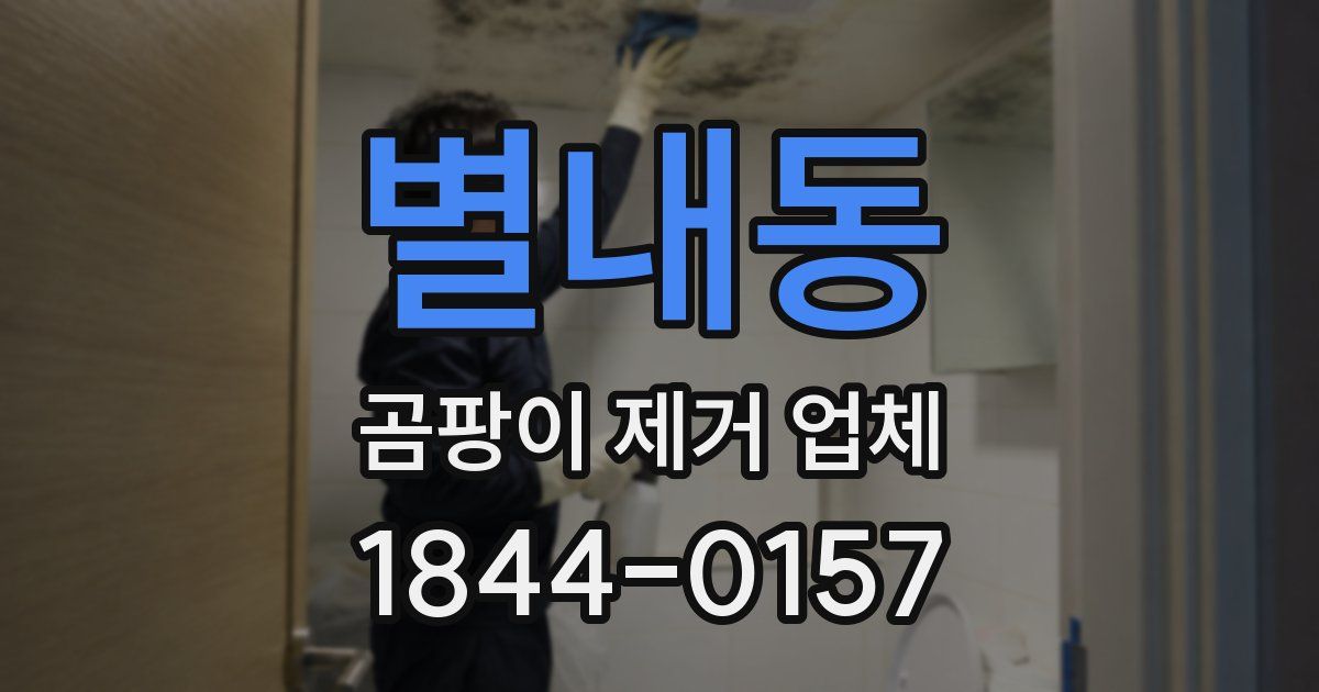 별내동 곰팡이 제거 업체