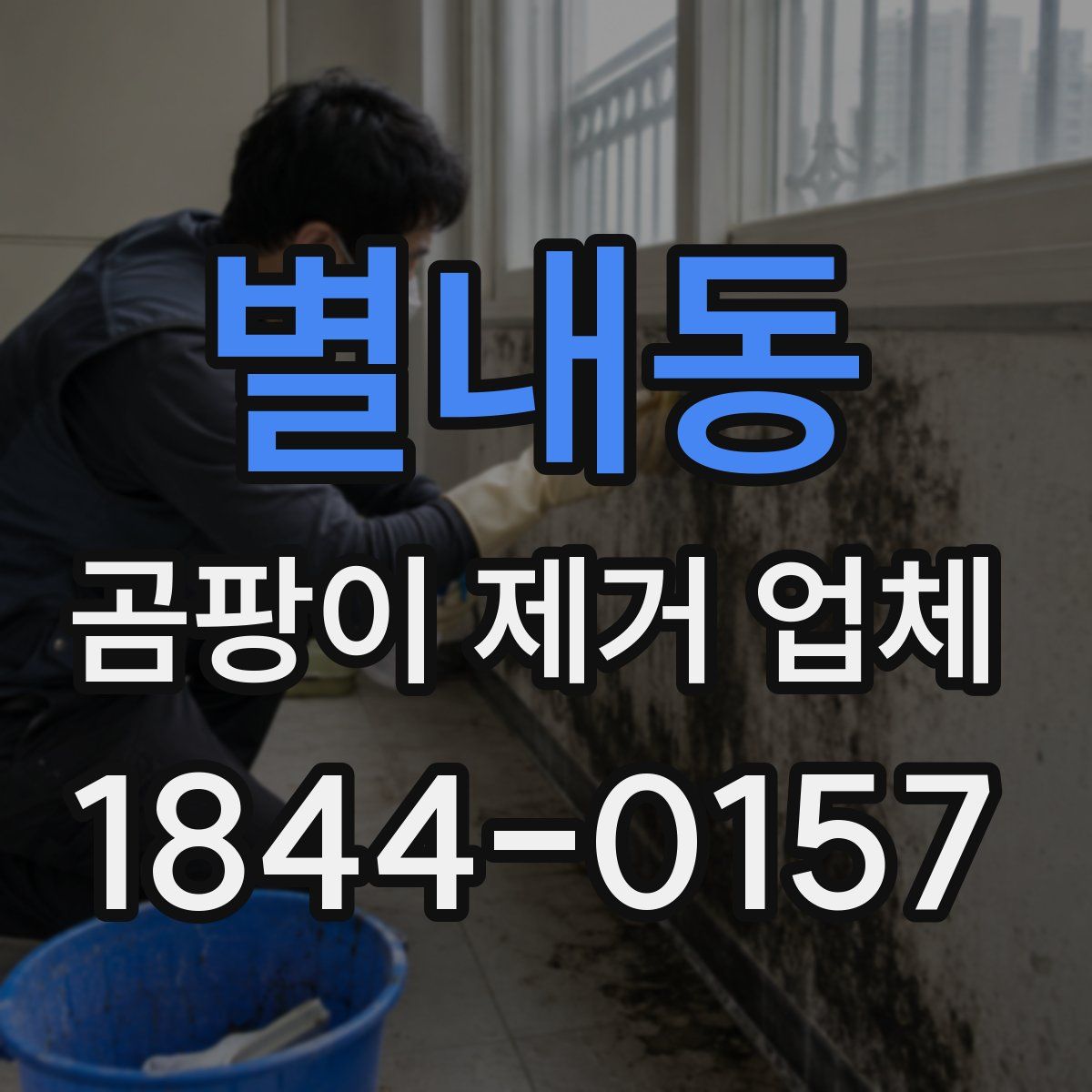별내동 곰팡이 제거 업체