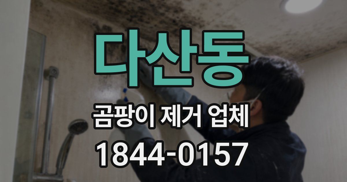 다산동 곰팡이 제거 업체