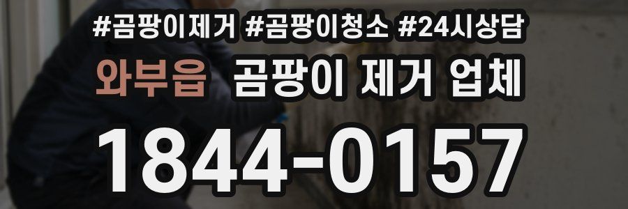 와부읍 곰팡이 제거 업체