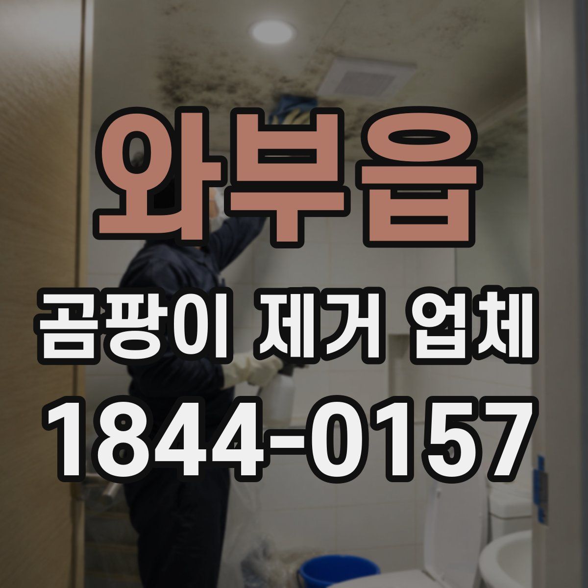 와부읍 곰팡이 제거 업체