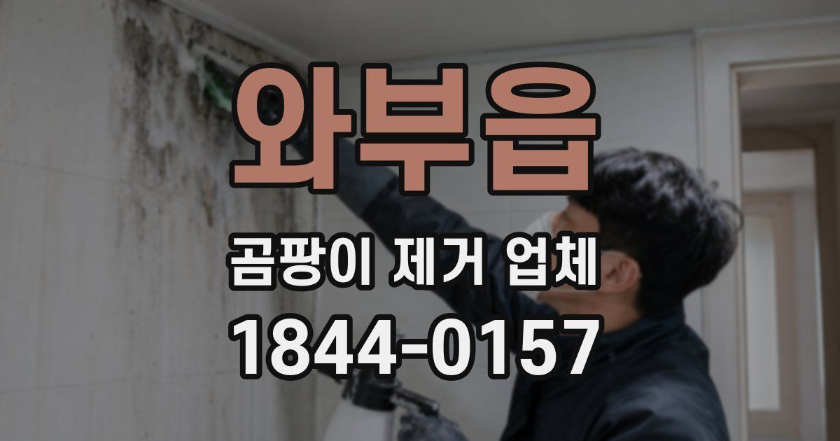 와부읍 곰팡이 제거 업체