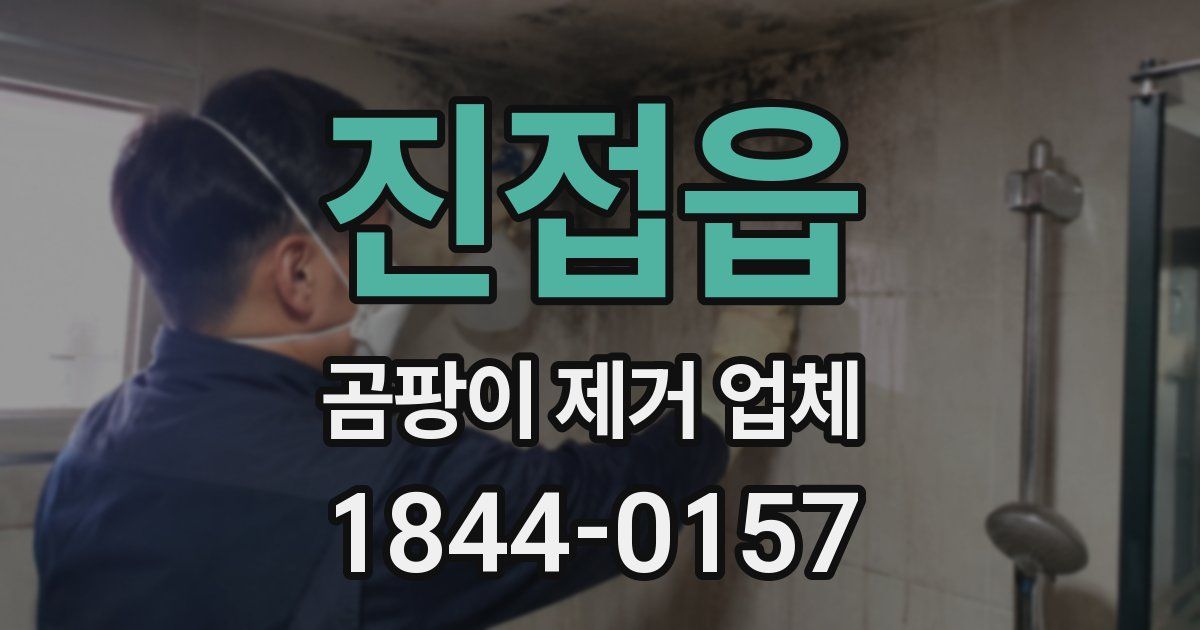 진접읍 곰팡이 제거 업체