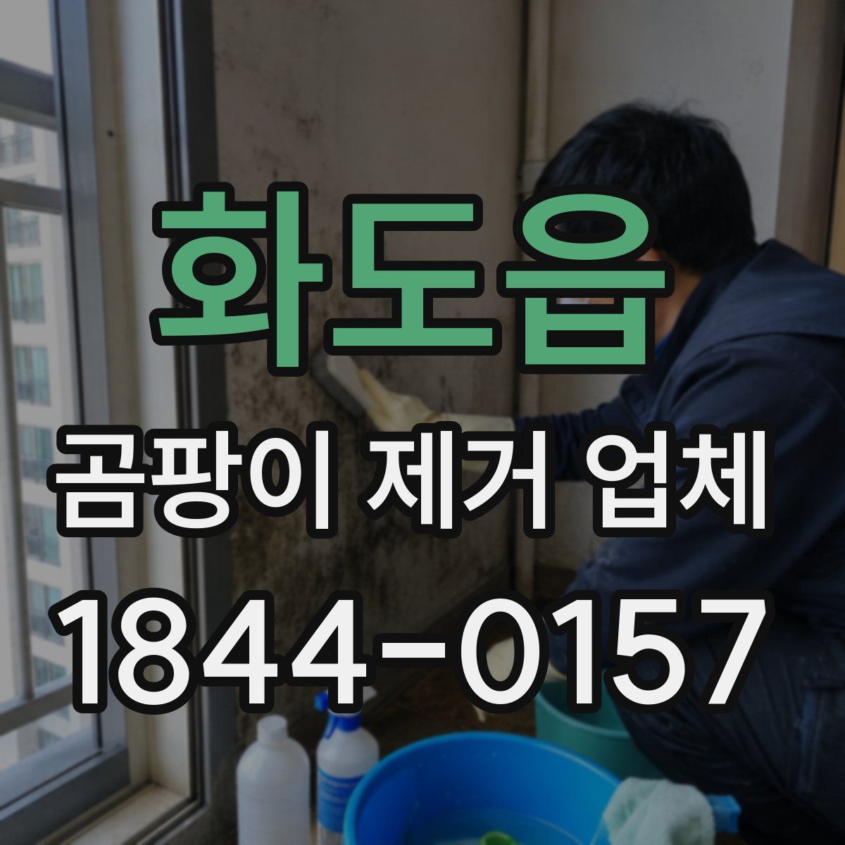 화도읍 곰팡이 제거 업체