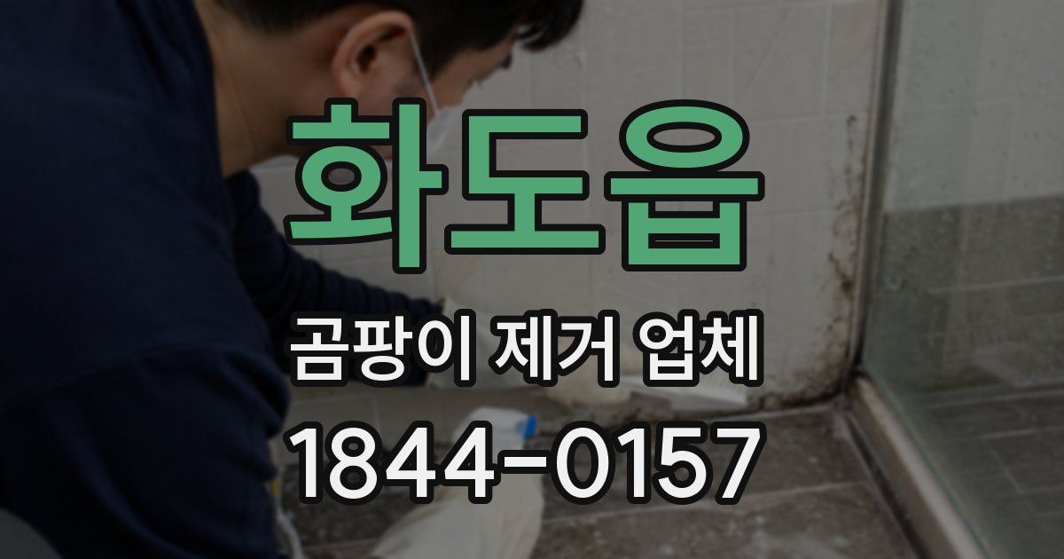 화도읍 곰팡이 제거 업체