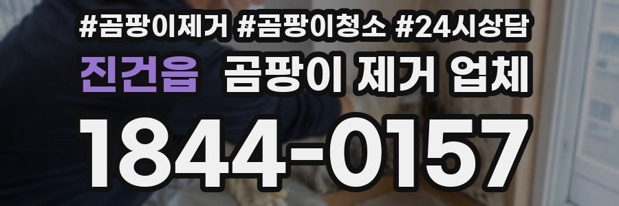 진건읍 곰팡이 제거 업체