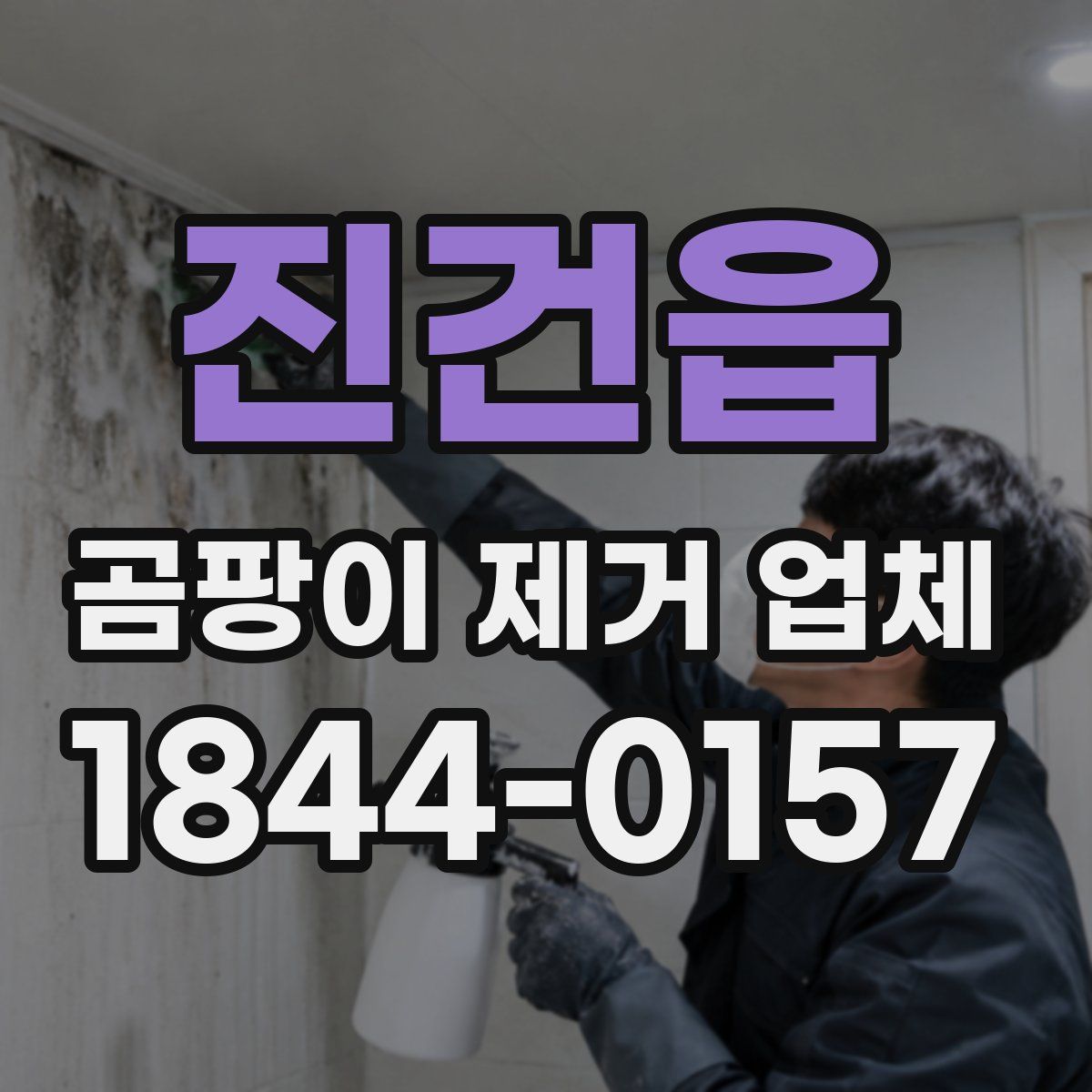 진건읍 곰팡이 제거 업체