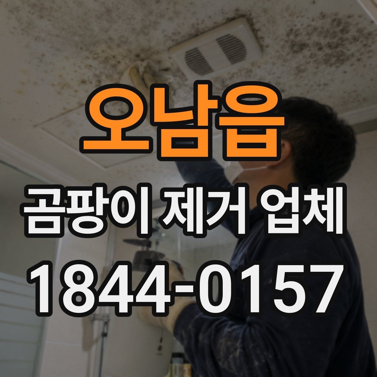 오남읍 곰팡이 제거 업체 사진 진단으로 먼저 보는 손상 정도