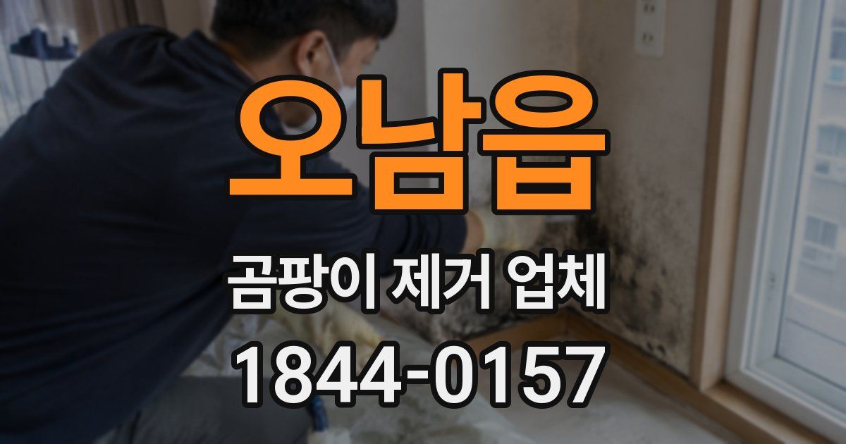 오남읍 곰팡이 제거 업체