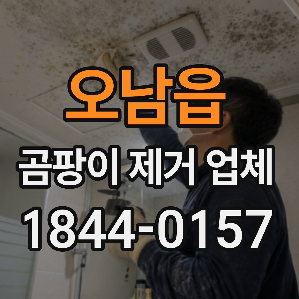 오남읍 곰팡이 제거 업체